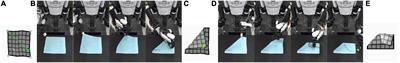 Cloth manipulation planning on basis of mesh representations with incomplete domain knowledge and voxel-to-mesh estimation